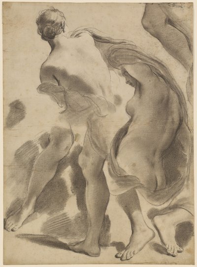 Studi di nudi femminili da Gaetano Gandolfi