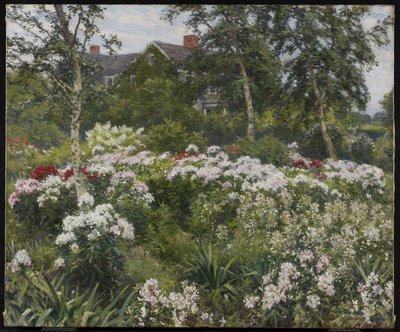Un giardino, 1911 da Gaines Ruger Donoho