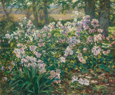 Anemoni da Gaines Ruger Donoho