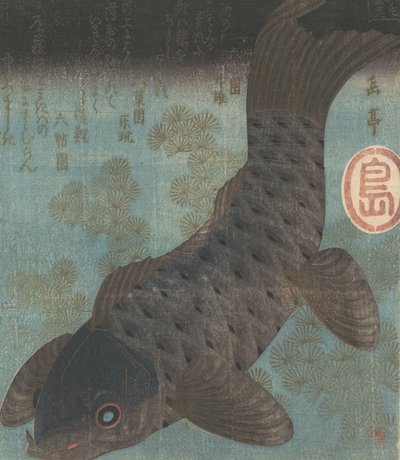 Carpe e pino da Gakutei