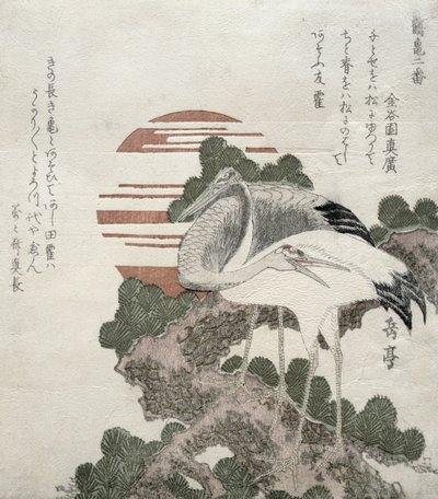 Gru (Tsuru) dalla serie 2 disegni di Gru e Tartarughe, 1818-30 da Gakutei Harunobu