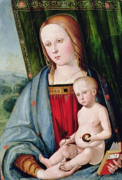 Madonna col Bambino da Galeazzo Campi
