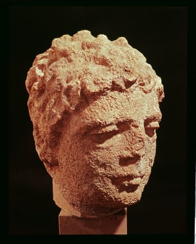 Testa di una divinità da Gallo Roman