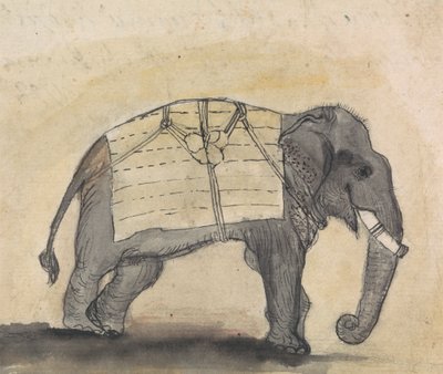 Elefante da Gangaram Chintaman Tambat