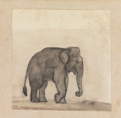 Elefante da Gangaram Chintaman Tambat