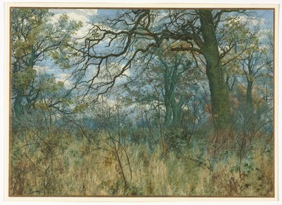 Alberi e Sottobosco da Garden William Fraser