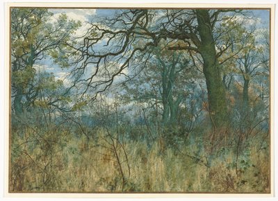 Alberi e Sottobosco, 1885 da Garden William Fraser