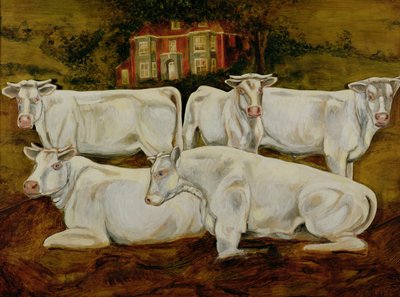 Tori Charolais, Dippenhall, Farnham da Gareth Lloyd Ball