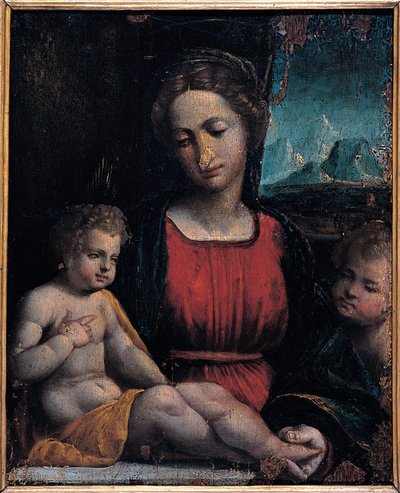 Madonna col Bambino e San Giovanni da Garofalos workshop