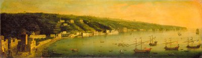 Il golfo di Napoli da Gaspar Butler