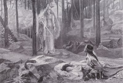 La rivelazione (Brunnhilde scopre Sieglinde e Siegmund) da Gaston Bussiere