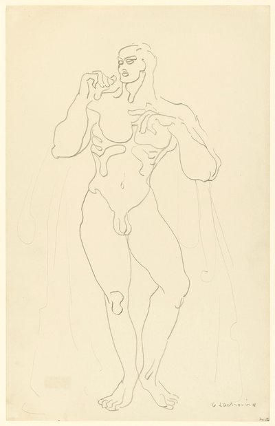 Nudo maschile n. 12 da Gaston Lachaise