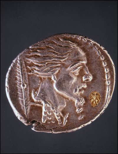 Profilo presunto di Vercingetorige su una moneta gallica. Museo del Medagliere. Milano da Gaulish Gaulish