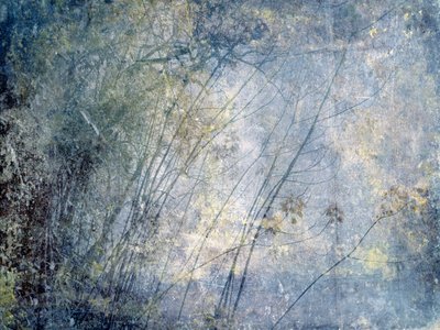 Foresta invernale eterea da Gemma Bardot