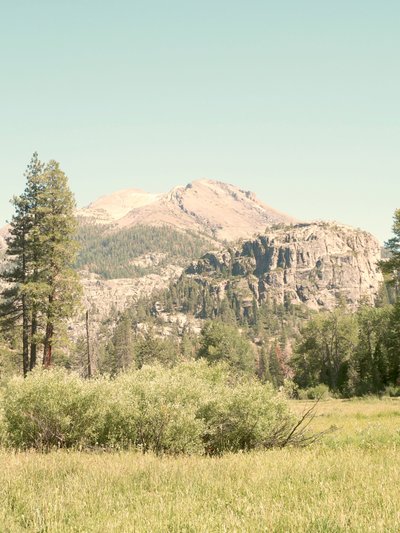 La serenità dei prati di montagna da Gemma Bardot