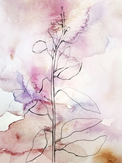 Acquerello rosa a tema botanico da Gemma Bardot