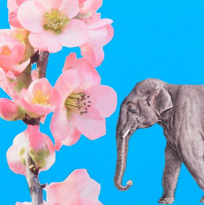 Elephant Blossom, 2018, collage da Genevieve French