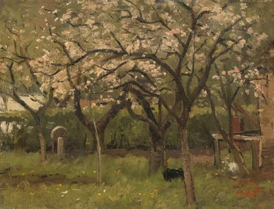 Albero in fiore in un frutteto da Geo Poggenbeek