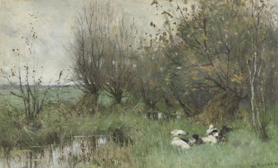 Anatre vicino a un boschetto di salici da Geo Poggenbeek