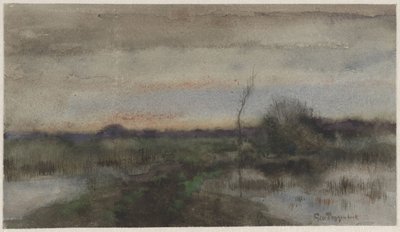 Paesaggio paludoso al tramonto da Geo Poggenbeek