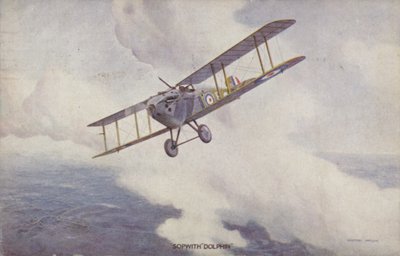 Aereo da caccia Sopwith Dolphin da Geoffrey (after) Watson