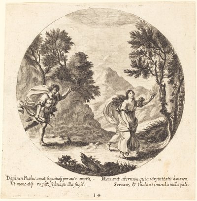 Apollo e Dafne da Georg Andreas Wolfgang the Elder