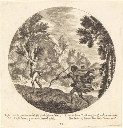 Dafne si trasforma in alloro da Georg Andreas Wolfgang the Elder