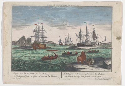 Vista della caccia alle balene da Georg Balthasar Probst