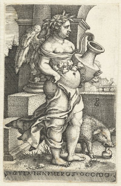 Gola (Gula) Gvla innvmeros occido (titolo sull