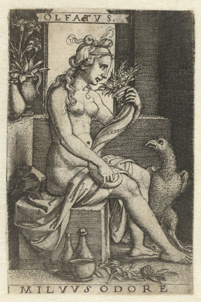 Reuk (Olfactus) (serie: Vijf Zintuigen) da Georg Pencz
