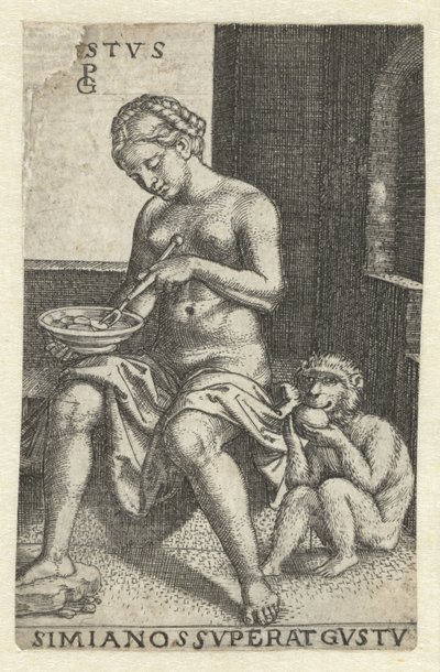Smaak (Gustus) Gvstvs simia nos svperat gvstv (titolo sull