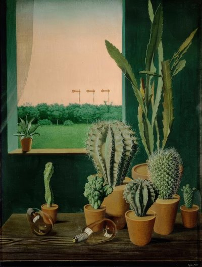 Cactus e semaforo da Georg Scholz