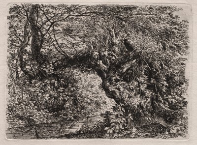 Il vecchio salice presso un ruscello da Georg von Dillis