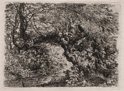 Il Vecchio Salice a un Ruscello, 1794 da Georg von Dillis