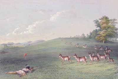 Il portafoglio degli indiani nordamericani di George Catlin da George (after) Catlin