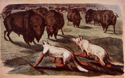 Indiani delle pianure nordamericane si avvicinano ai bufali al pascolo indossando pelli di lupo, c.1840 da George (after) Catlin