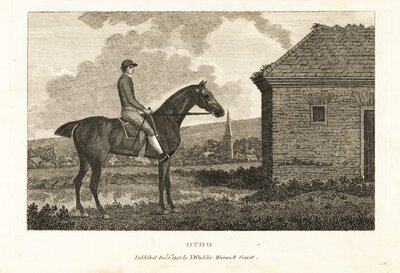 Ritratto del cavallo da corsa purosangue Otho da George (after) Stubbs