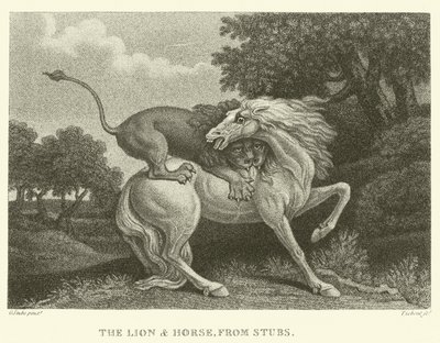 Il leone e il cavallo, da Stubs da George (after) Stubbs