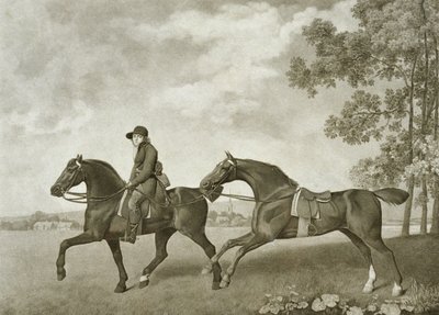 Due cavalli da sella (inciso da George Townley Stubbs) da George (after) Stubbs
