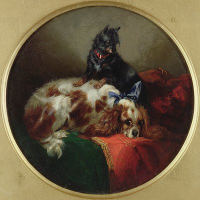 Spaniel di Blenheim e Terrier, dipinto dopo J.F. Herring (1795-1865) da George Armfield
