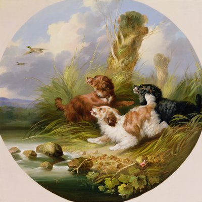 Tre spaniel che fanno alzare un