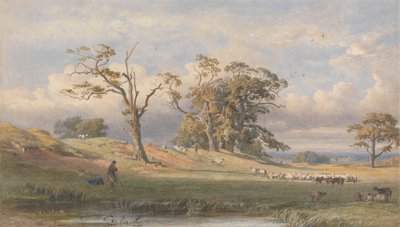 Vecchio campo britannico nel parco di Bulstrode da George Arthur Fripp