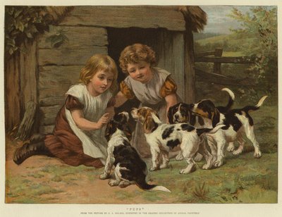 Cuccioli da George Augustus Holmes