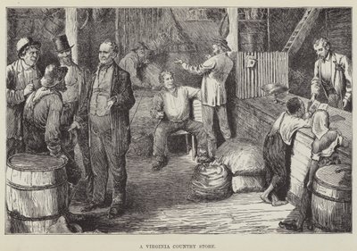Un negozio di campagna in Virginia da George Augustus Sala