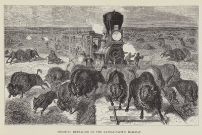 Caccia ai bufali sulla ferrovia Kansas-Pacific da George Augustus Sala