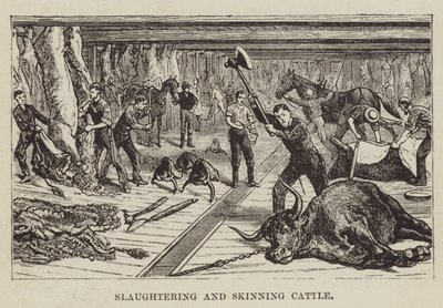 Macellazione e scuoiatura del bestiame da George Augustus Sala