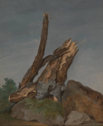 Studio di rocce e rami da George Augustus Wallis
