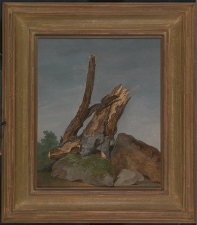 Studio di rocce e rami da George Augustus Wallis