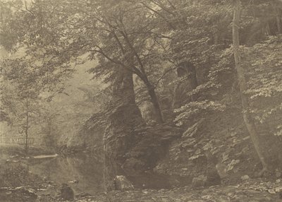 Piscina di Pike, 1880, stampato 1888 da George Bankart