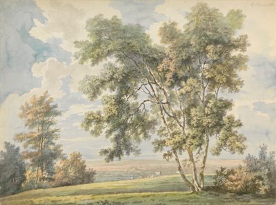 Paesaggio con alberi e pecore (Paesaggio del parco con pecore) da George Barret